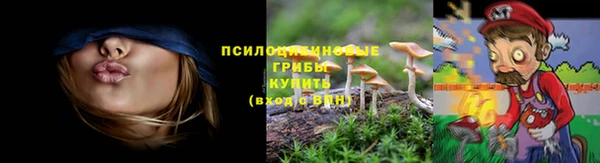 ПСИЛОЦИБИНОВЫЕ ГРИБЫ Богородицк