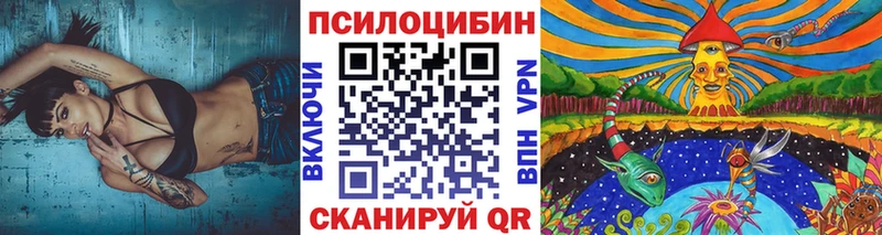 закладки  Киселёвск  Псилоцибиновые грибы GOLDEN TEACHER 